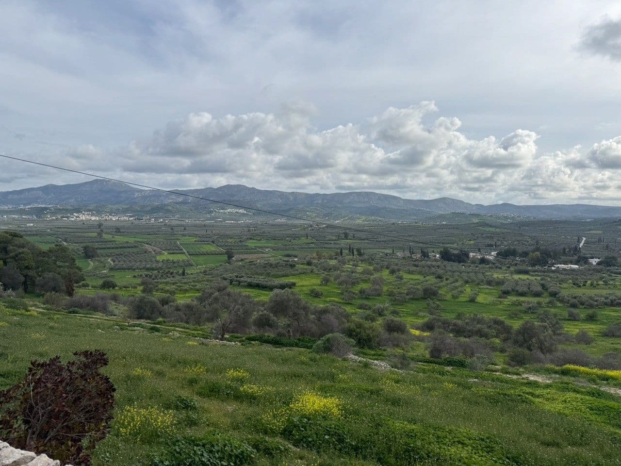 The green Messara plain with olive groves and yellow flowers, mountains along the horizon under cloud